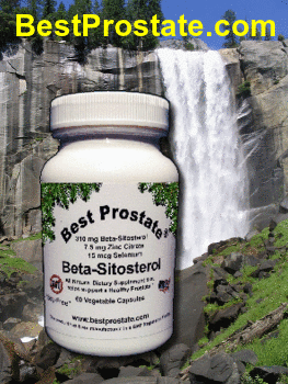 Best Prostate Formula